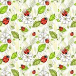 Collection animaux coccinelle