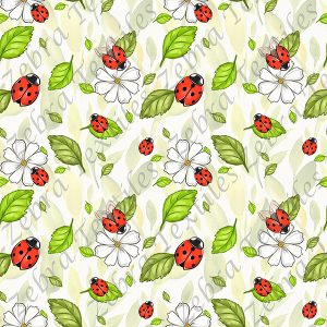 Collection animaux coccinelle
