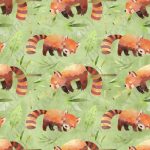 Collection panda roux fond vert