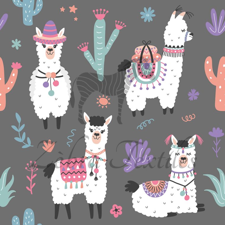 Lama cactus fond gris