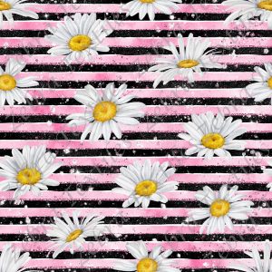 Marguerite fond ligné rose