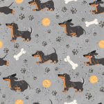 Chien saucisse fond gris