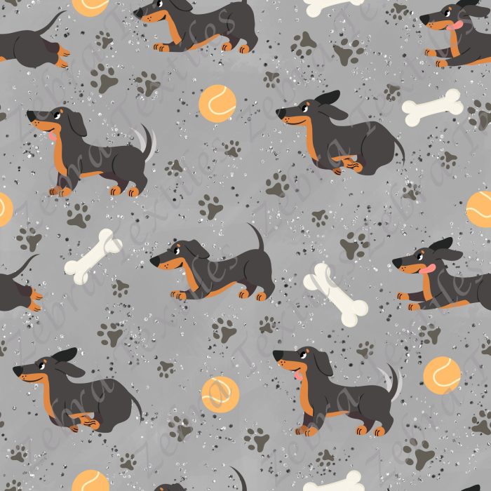 Chien saucisse fond gris