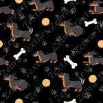Chien saucisse fond noir