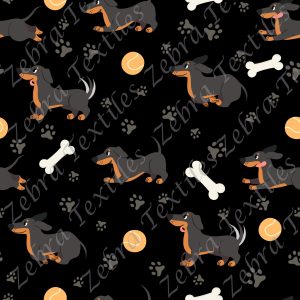 Chien saucisse fond noir