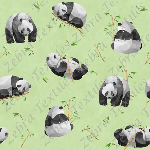 Panda et bambou fond vert