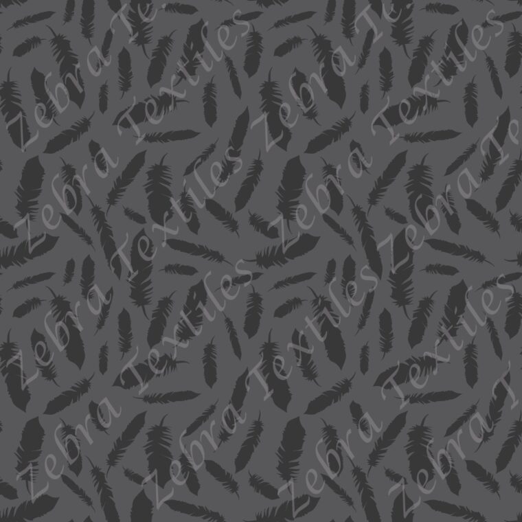 Plume noire fond gris
