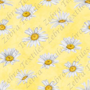 Marguerite fond jaune