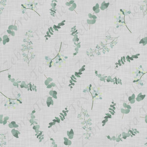 eucalyptus fond lin gris