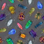 Insecte fond lin gris foncé