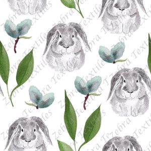 Lapin gris fond blanc