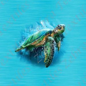 Tortue fond bleu
