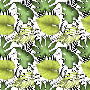 Collection feuille fond blanc