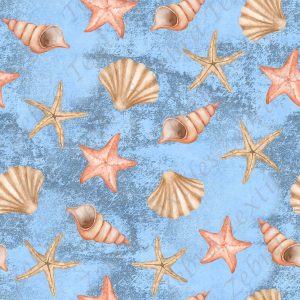 Coquillage fond bleu