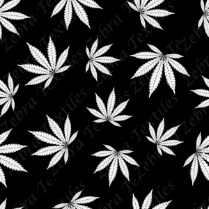 Feuille blanche de cannabis fond noir