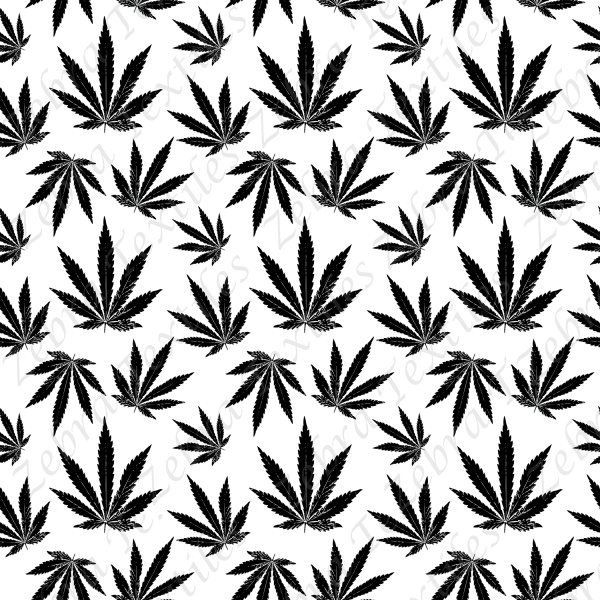 Feuille noir de cannabis fond blanc