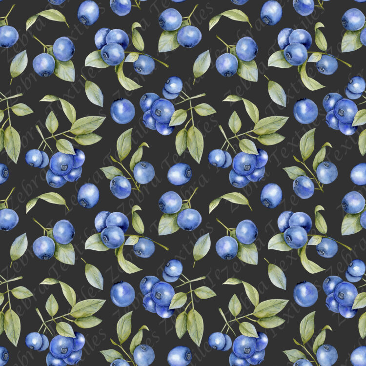 Bleuet et feuille fond noir