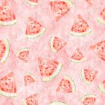 Melon d'eau aquarelle fond rouge rose