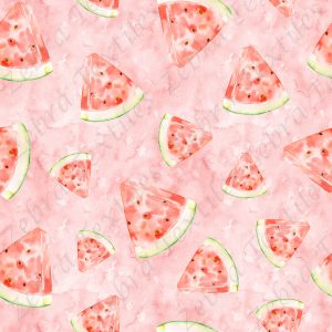 Melon d'eau aquarelle fond rouge rose