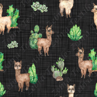 Alpaga et cactus fond lin gris et noir