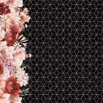 Bordure de pivoines roses fond noir carré rose