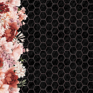 Pivoine rose fond noir hexagone rose