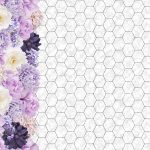 Rose mauve et blanche fond blanc marbré gris