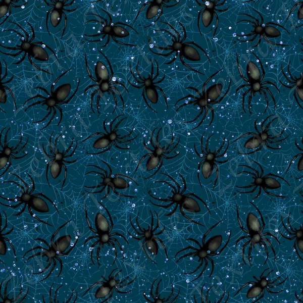 Araignée fond toile bleue