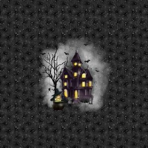 Maison hantée et sorcière fond araignée