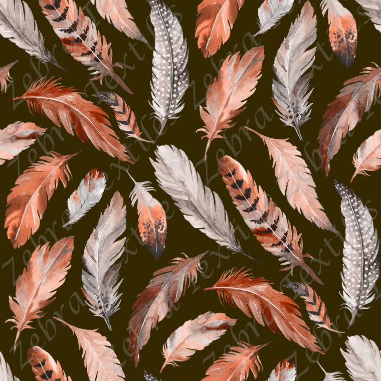 Plume et fond marron