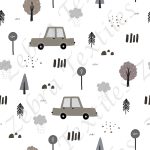 Voiture fond blanc