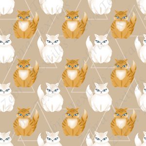 Chat blanc et roux