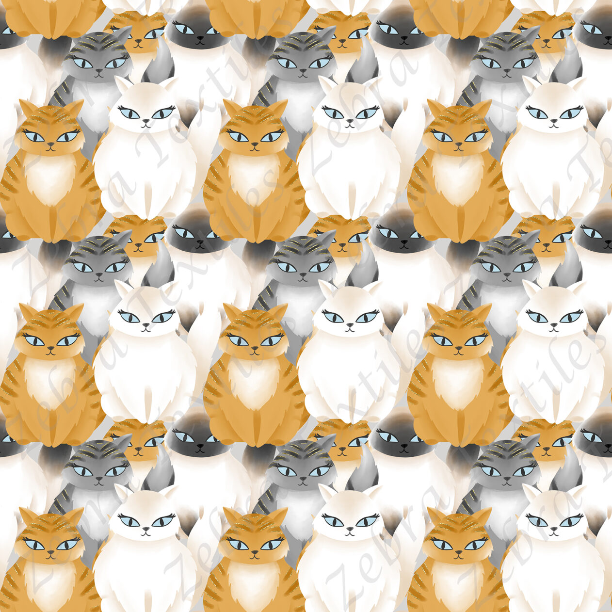 Chat varié
