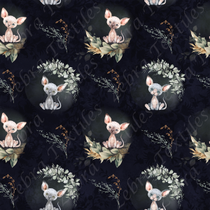 Chat sphynx et eucalyptus fond marine