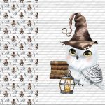 Harfang et chapeau + livre fond rayé gris