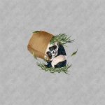 Panda et tête dans panier fond gris