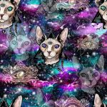 Chat sphinx fond galaxie