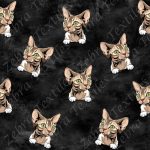 Chat sphinx beige fond noir