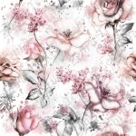 Douce rose fond blanc