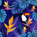Toucan et fleur du paradis