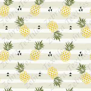Ananas et triangle noir fond rayé