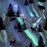 Animaux sous les aurores boréales