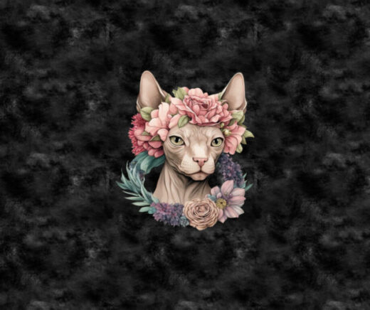 Chat sphinx et fleur fond noir
