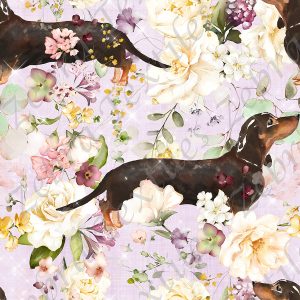 Chien saucisse et fleur fond mauve
