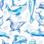 Dauphin bleu fond blanc