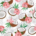 Noix de coco et hibiscus rose fond blanc