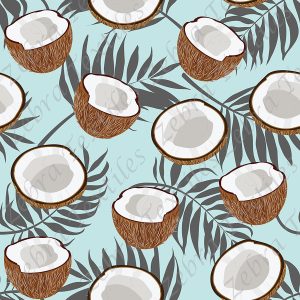 Noix de coco fond bleu