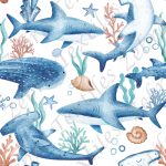 Requin bleu fond blanc