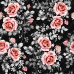 Rose rouge et feuille fond noir
