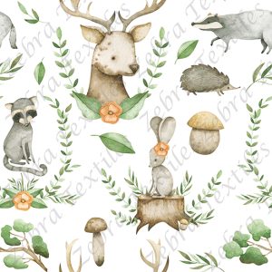 Animaux de la forêt et champignon fond blanc